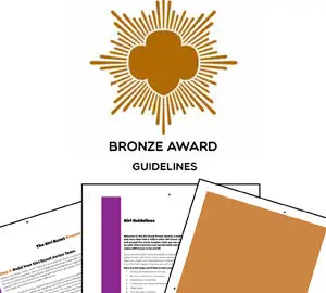 bronze award Guidelines