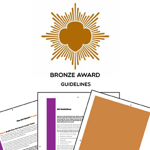 bronze award Guidelines