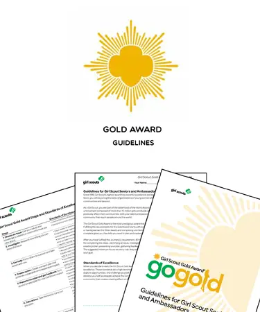 Gold Award Guidelines