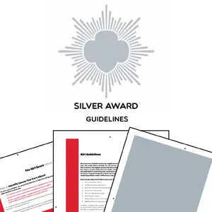 Silver Award Guidelines