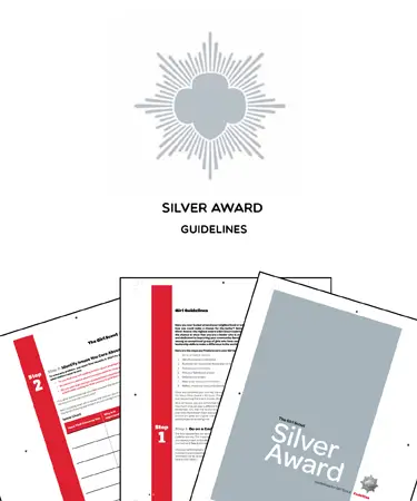 Silver Award Guidelines