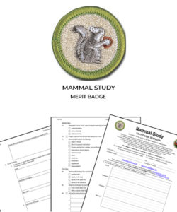 📛 Mammal Study Merit Badge (WORKSHEET & REQUIREMENTS)