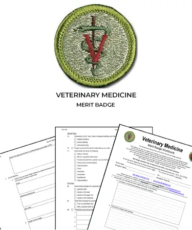 Veterinary Medicine Merit Badge