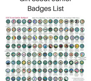 girl scout junior badges