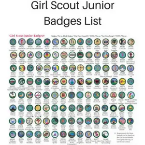 girl scout junior badges