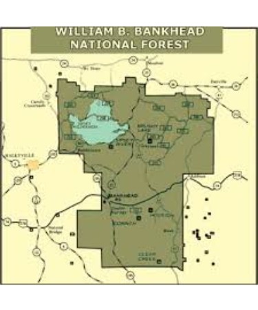 Bankhead National Forest Map 