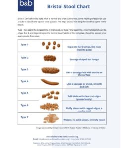 Bristol Stool Chart Pdf Free Download Printable