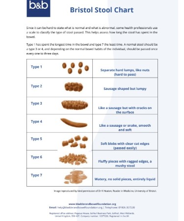 Great Bristol Stool Chart Pdf  Don t miss out 