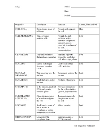 Cell Worksheet PDF - Free Download (PRINTABLE)