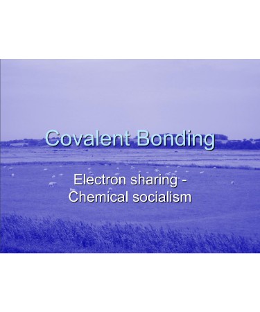 Covalent Bonding Worksheet PDF