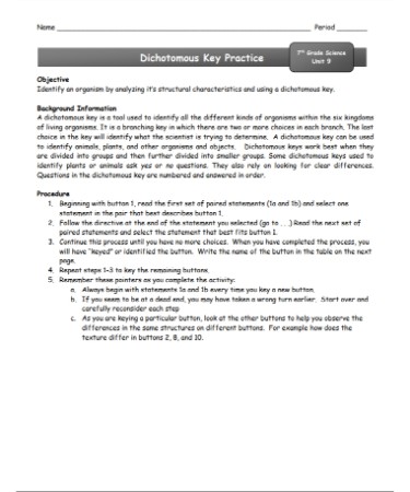 Dichotomous Key Worksheet PDF