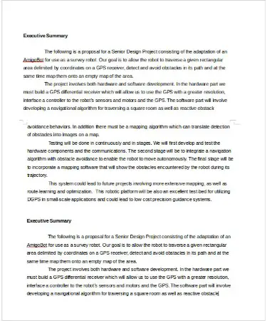 Executive Summary Template PDF