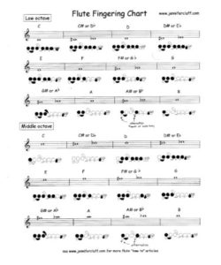 🎻 Flute Finger Chart PDF - Free Download (PRINTABLE)