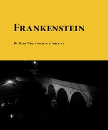 frankenstein pdf