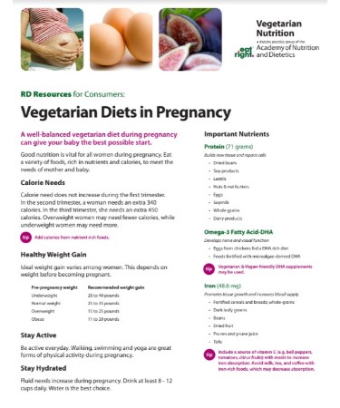 Indian Pregnancy Diet Chart PDF
