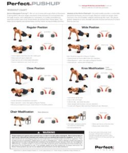 Perfect Pushup Workout Chart PDF – Scouting Web