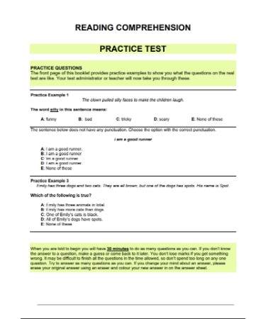 Reading Comprehension Worksheet PDF