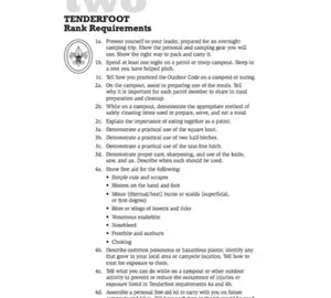 Tenderfoot requirements