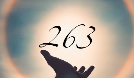 Angel number 263 meaning
